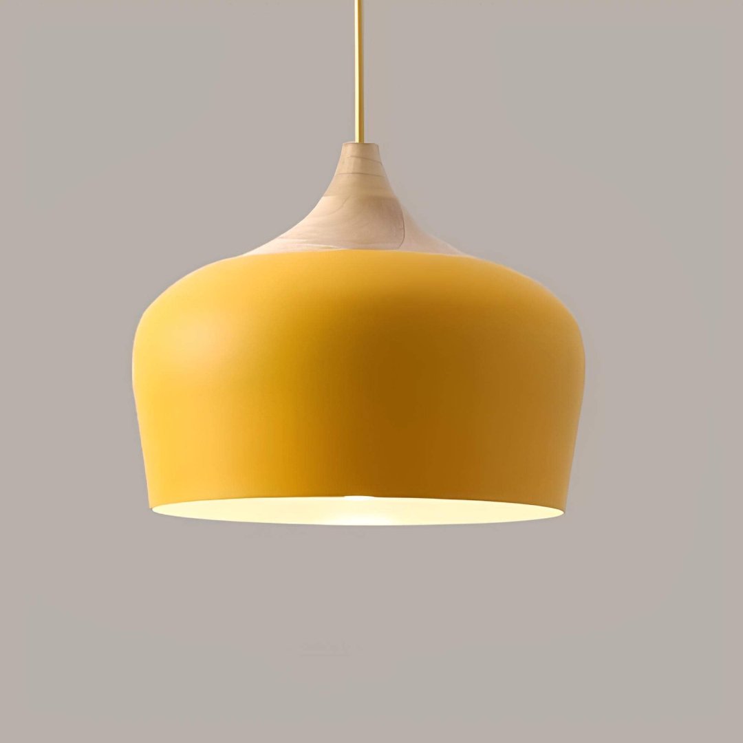 stylish-pastel-ceiling-light-f-2-r58xfp